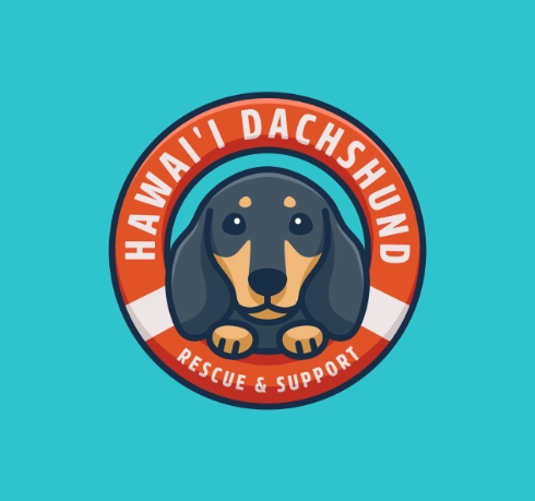 Illustrative Logo